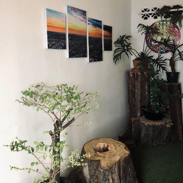  Kaleidoscópio Hostel