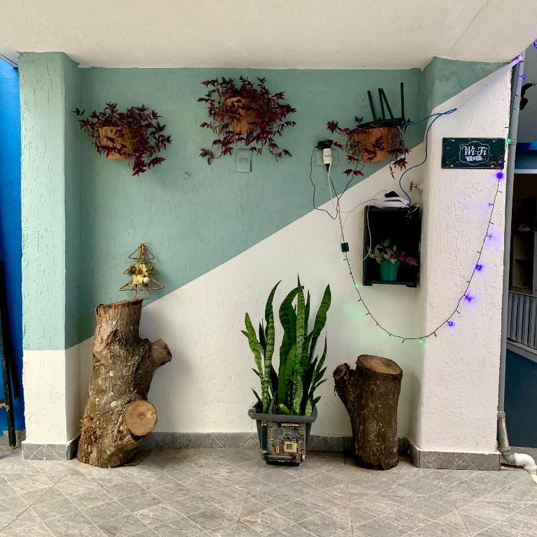  Kaleidoscópio Hostel