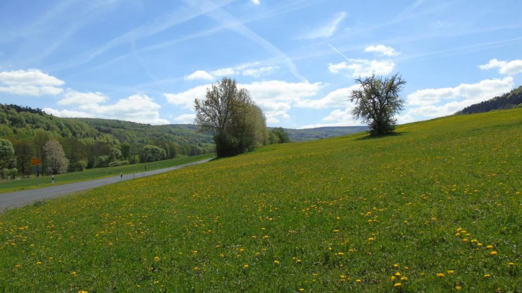 a field of green grass with trees and a road at Ferienwohnung Csilla in Unterweid