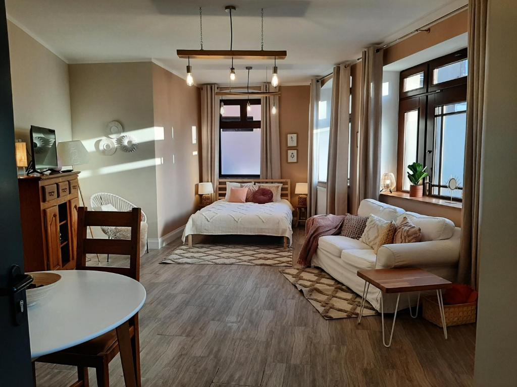 Drzewna Apartamenty-Drzewna - Студия