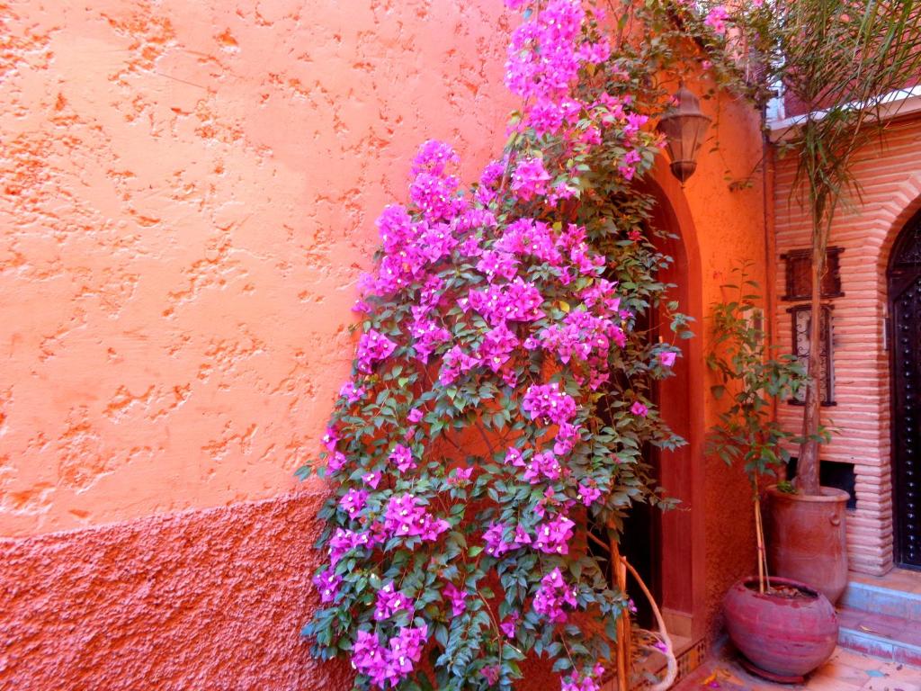 Fotografija u galeriji objekta Riad Sesame u gradu Marakeš
