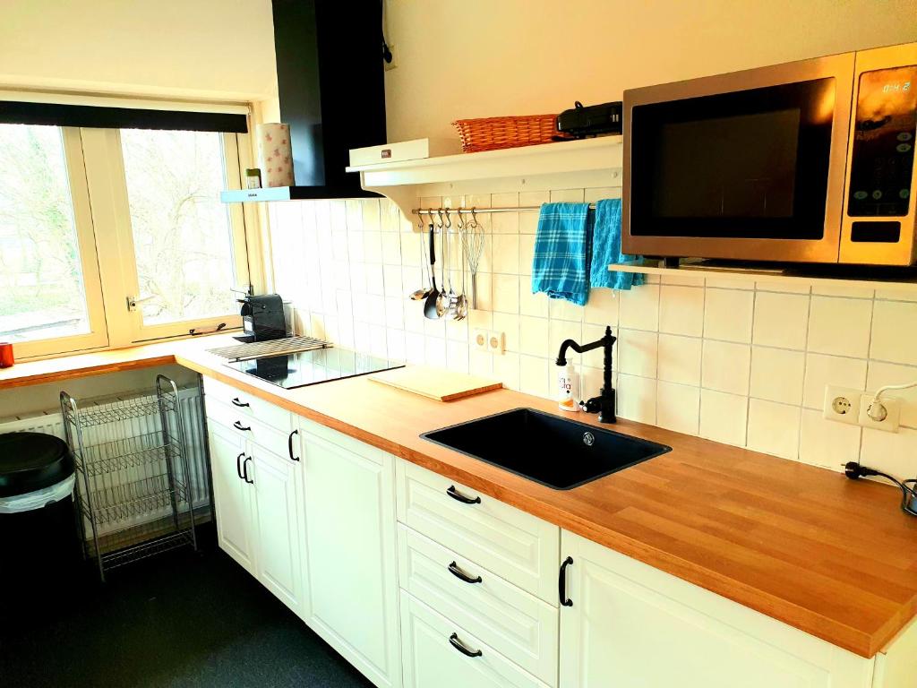 een keuken met een wastafel en een magnetron bij Appartement Schoorl in Schoorl