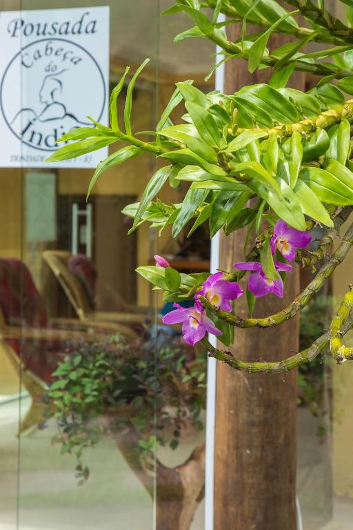  Pousada Cabeça do Indio - Trindade