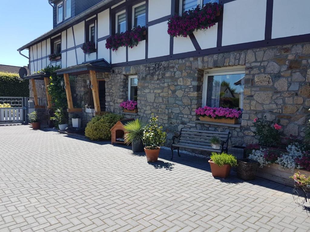 um edifício com vasos de plantas à sua frente em Haus Cornelia II em Simmerath