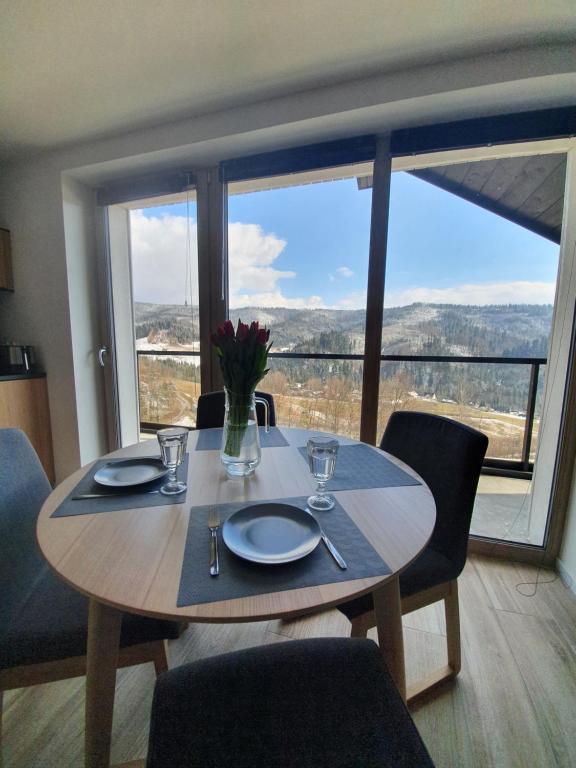 Apartamenty 'Okno z widokiem' - 18