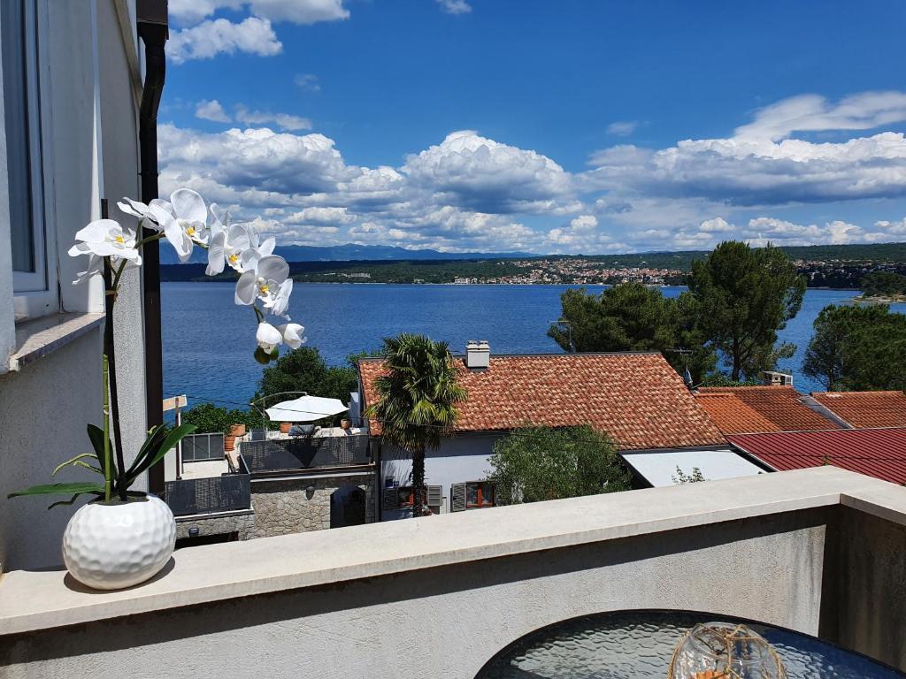 Příroda nedaleko apartmánu