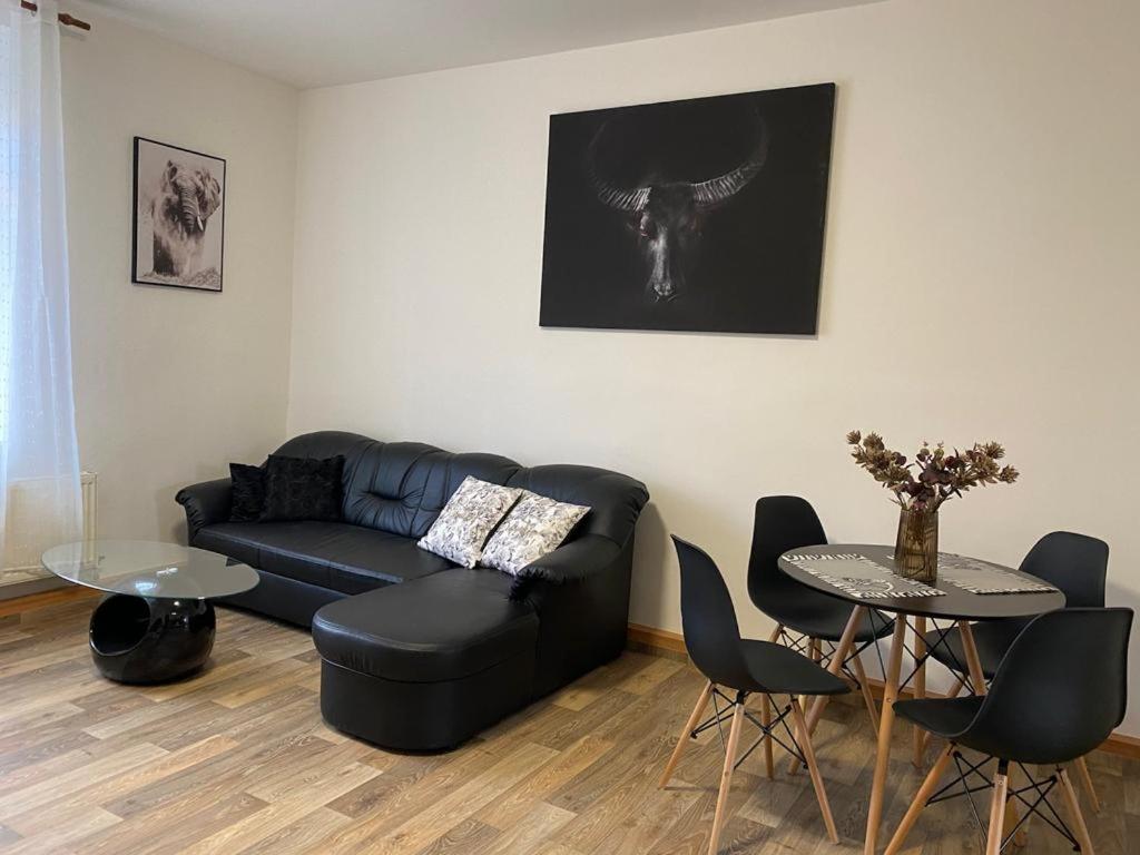Černý Tulipán - Apartmán 2 - Apartment Mit 1 Schlafzimmer