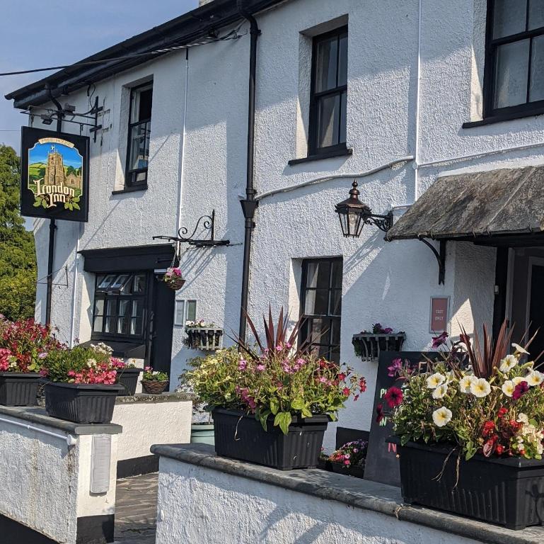 a white building with potted plants in front of it at London Inn in Saint Neot