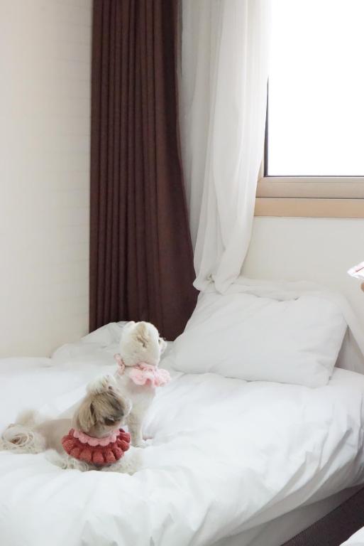 Postel nebo postele na pokoji v ubytování Hi Jeju Hotel