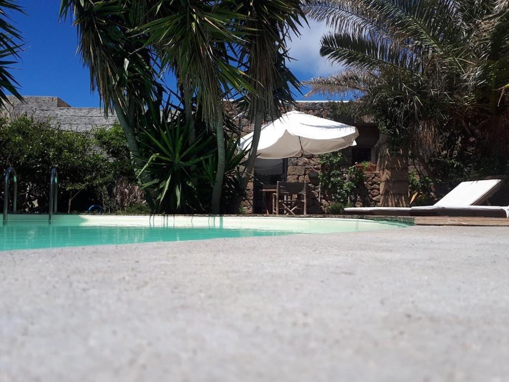 a swimming pool with a white umbrella and palm trees at Cactus b&b Le casette di Marilena in Pantelleria