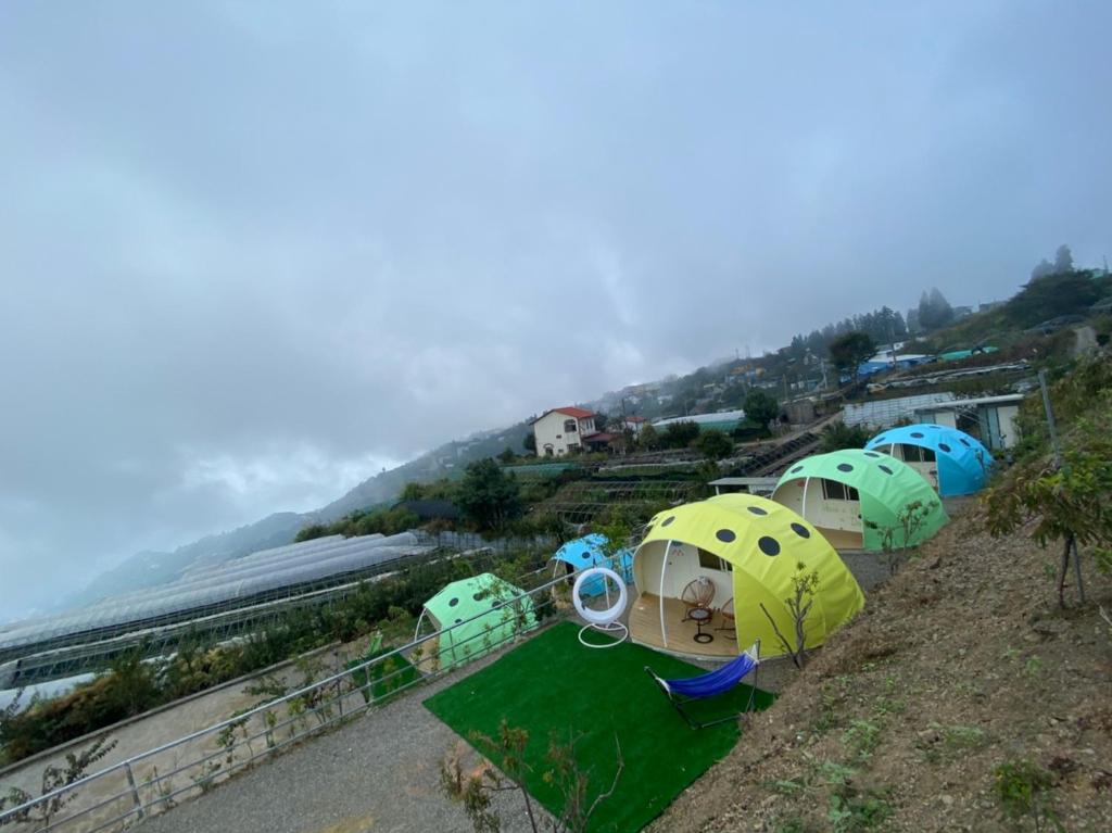 Příroda nedaleko luxury tent