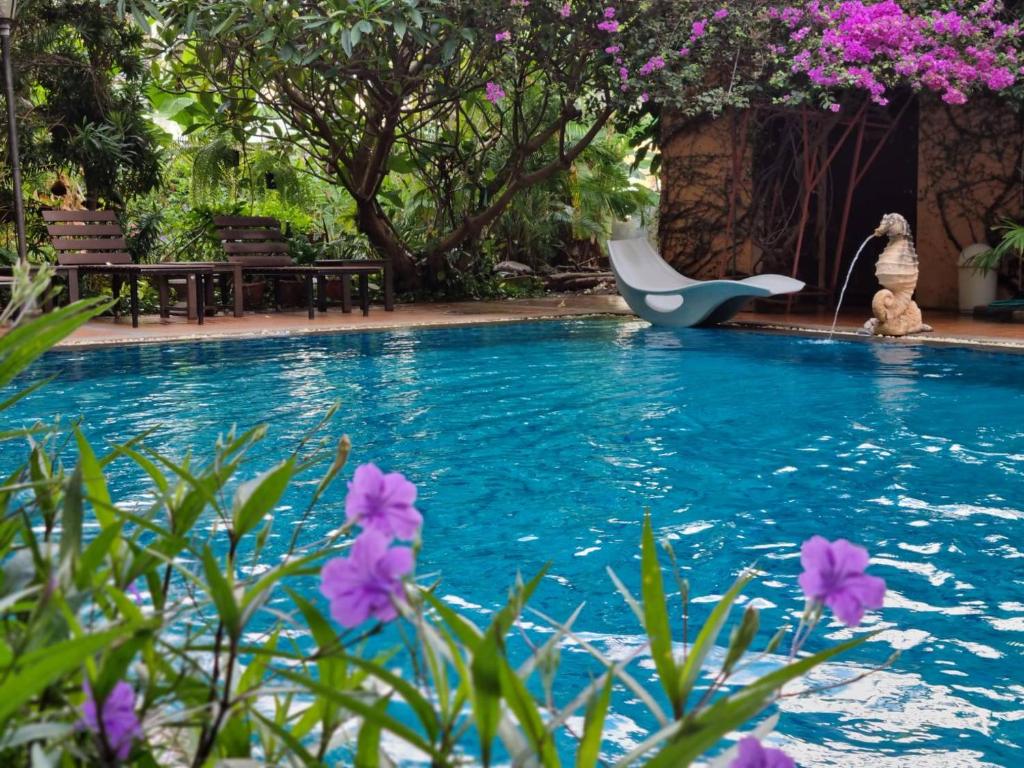 Opey De Place - Resim 3