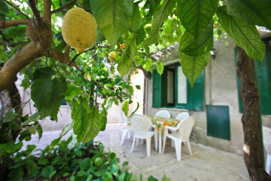 un tavolo e sedie in un cortile con un albero di limoni di LEO APPARTAMENTI con vista panoramica a Erice