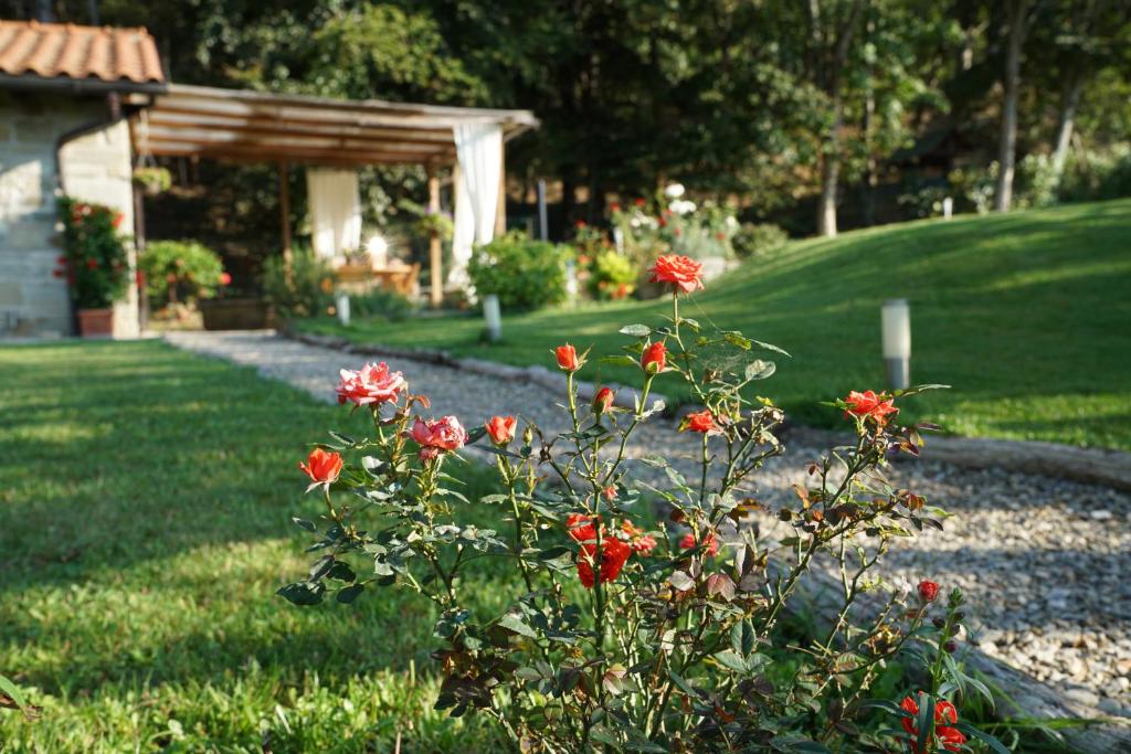 Zahrada ubytování Casa Camporino