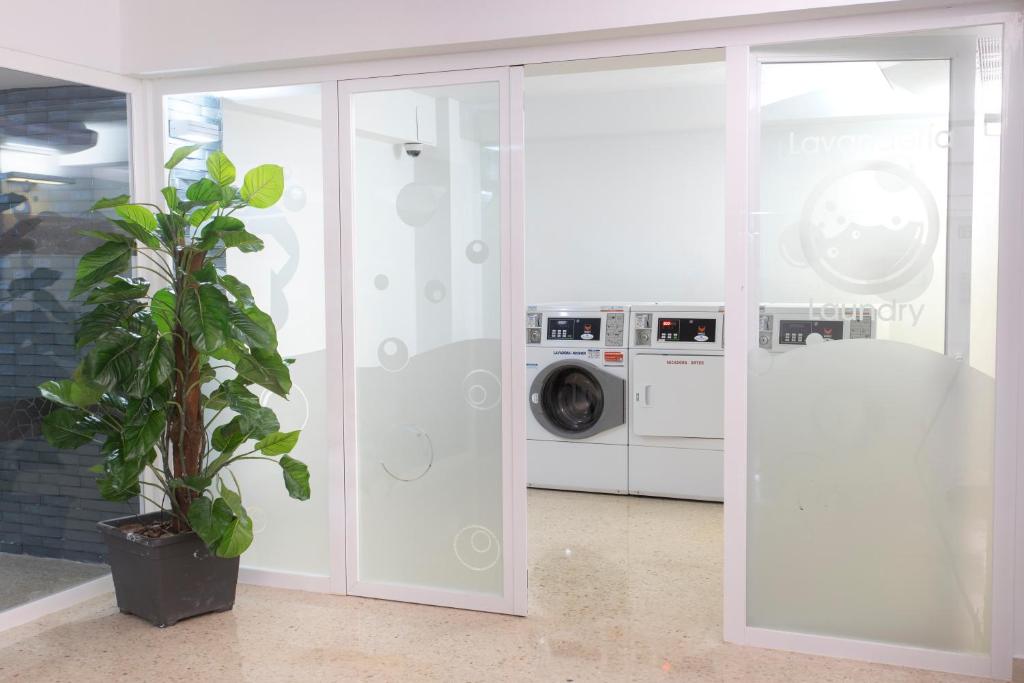 a laundry room with a washing machine and a plant at Aparthotel BCL Levante Club in Benidorm