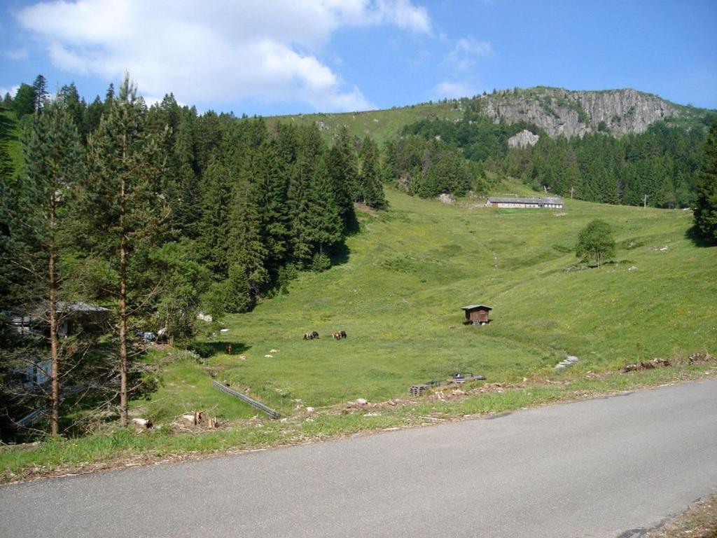 Příroda nedaleko kempu