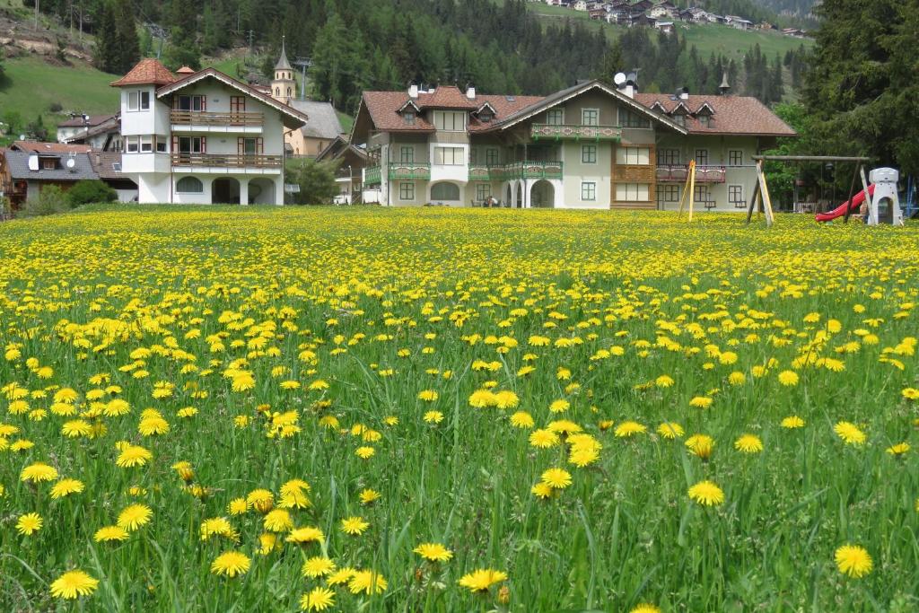 Příroda nedaleko aparthotelu