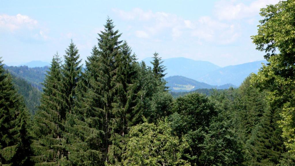 Príroda v okolí apartmánu