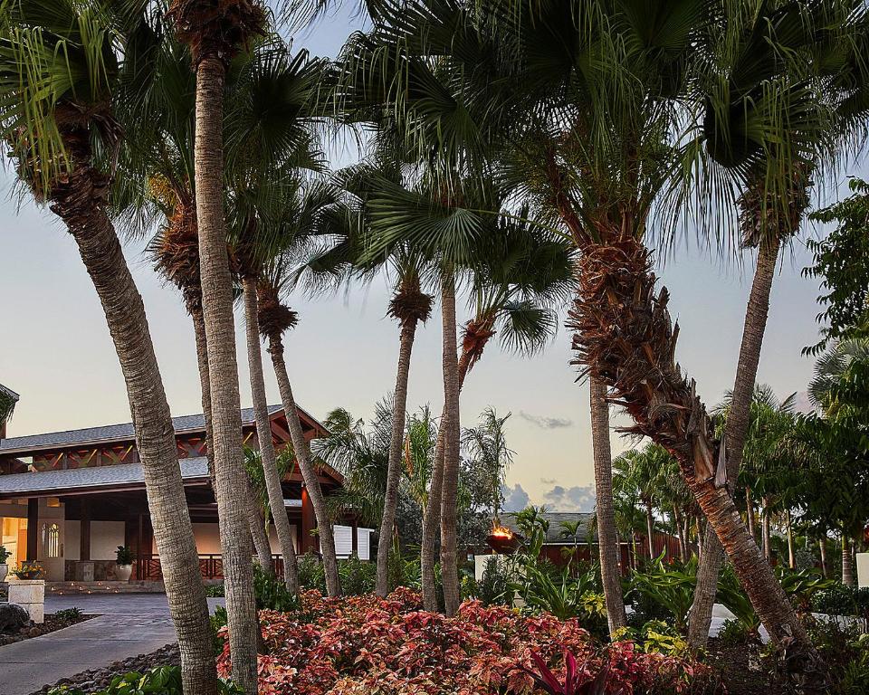 Zahrada ubytování Four Seasons Resort Nevis