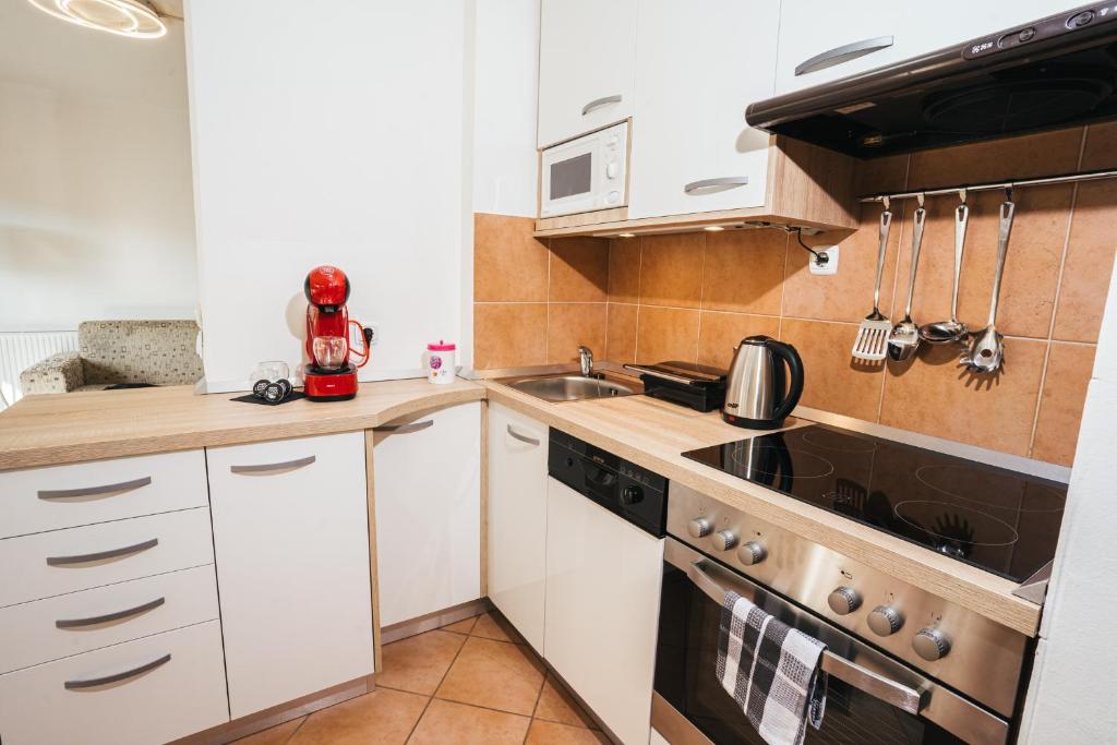 Cucina o angolo cottura di Aparthotel Rosa 404