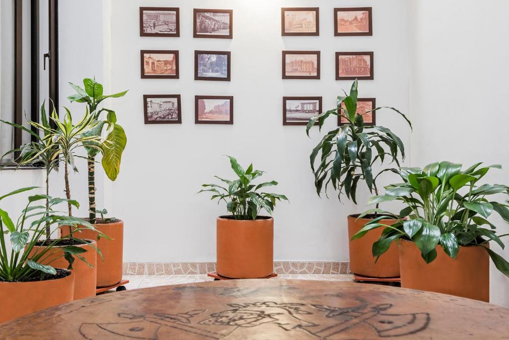 Fotografie z fotogalerie ubytování Hotel El Campin v destinaci Bogotá