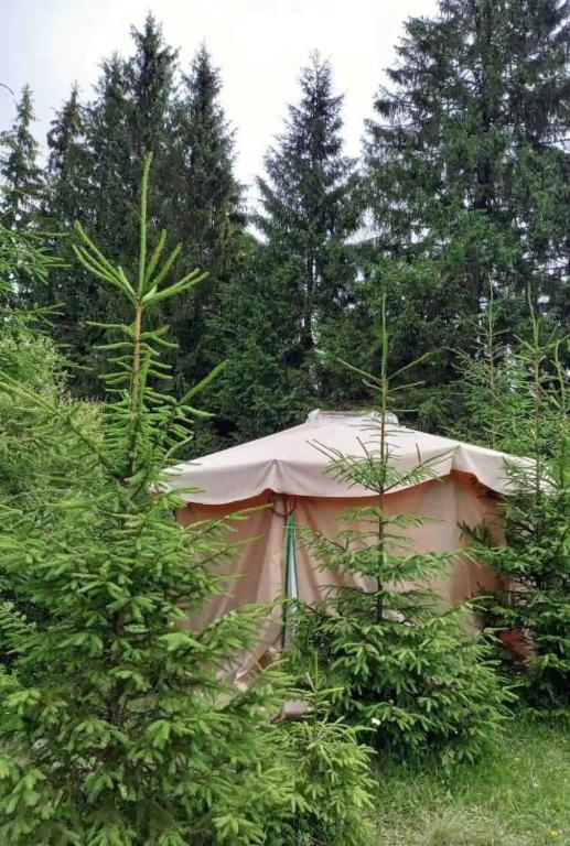 Zahrada ubytování Eco glamping - Carpathians. Retreat hub Dzin Space