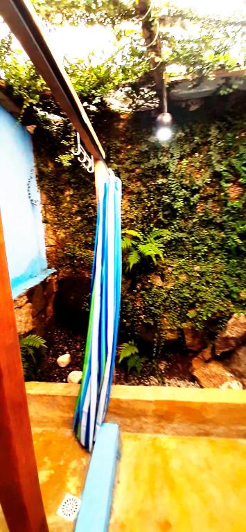  Casinha na Mata próximo à Cachoeira - Cocaia135