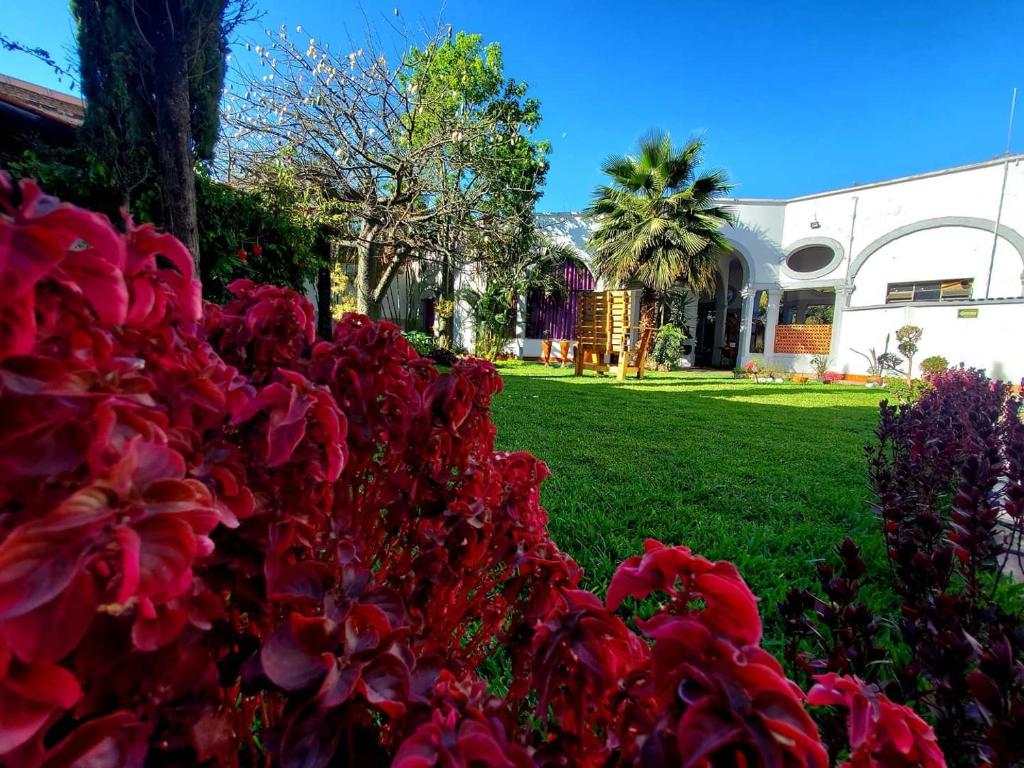 Zahrada ubytování Tlaquepaque Pueblito