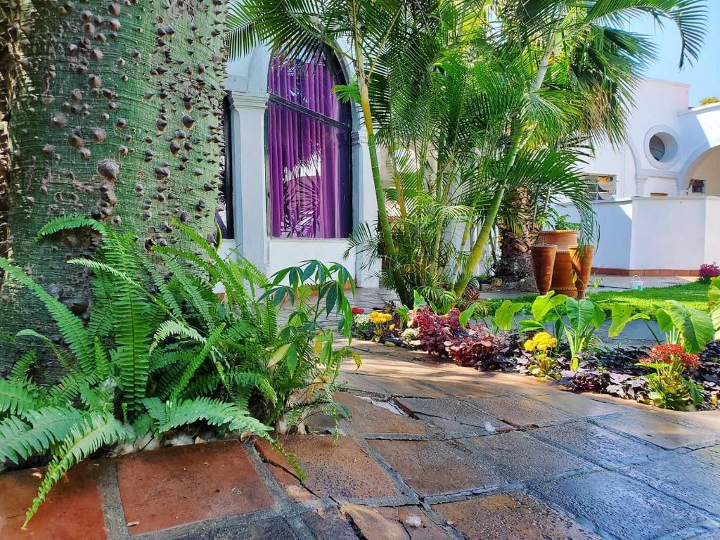 Zahrada ubytování Tlaquepaque Pueblito