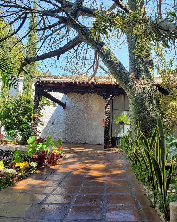 Zahrada ubytování Tlaquepaque Pueblito