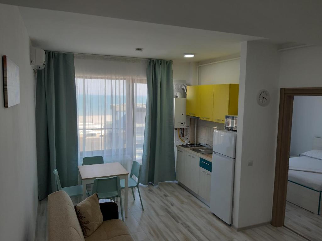 a small apartment with a kitchen and a living room at Mamaia Dorin Apartment in Mamaia