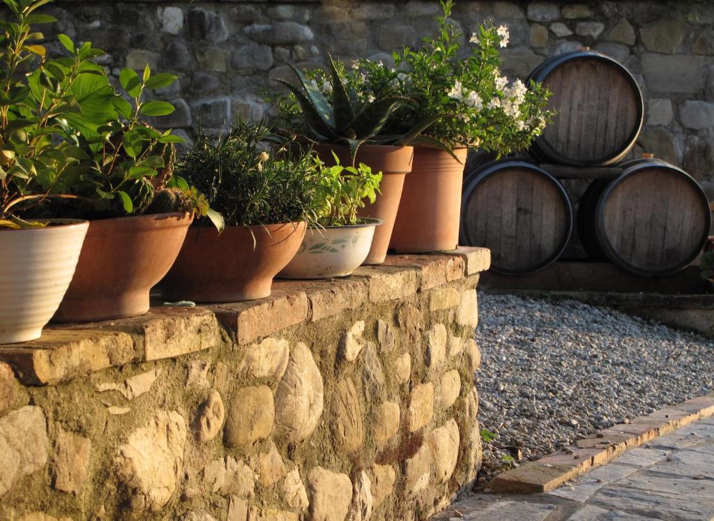 A garden outside Agriturismo & Winery Il Bacio