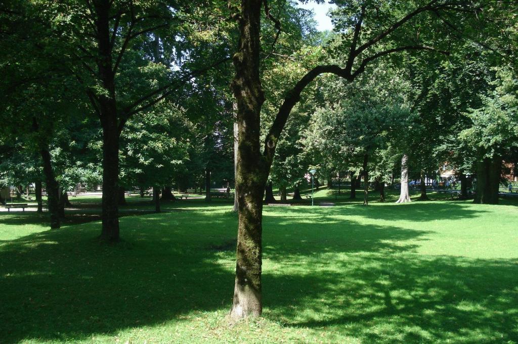 Hotel Hofmann - Resim 26