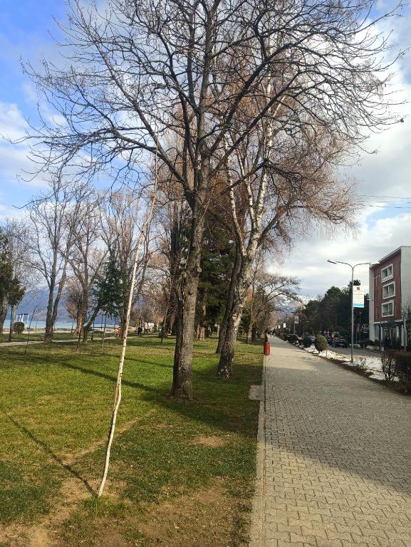Fotografie z fotogalerie ubytování Sun&Moon Ohridlake Apartments v destinaci Pogradec