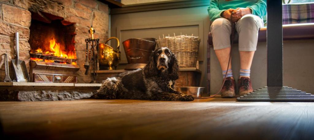 Domácí mazlíčci ubytovaní s hosty v ubytování Dryburgh Arms Pub with Rooms