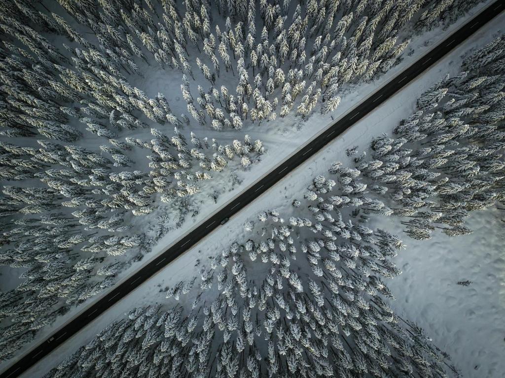 Fotografie z fotogalerie ubytování Cosy Lodge Pokljuka v destinaci Goreljek
