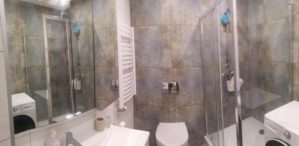 ブワディスワボボにあるApartament z Widokiemのバスルーム(シャワー、トイレ、洗面台付)