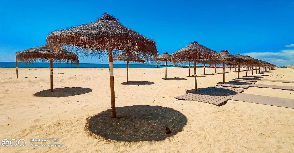 a row of straw umbrellas on a beach at Beach Inn in Quarteira