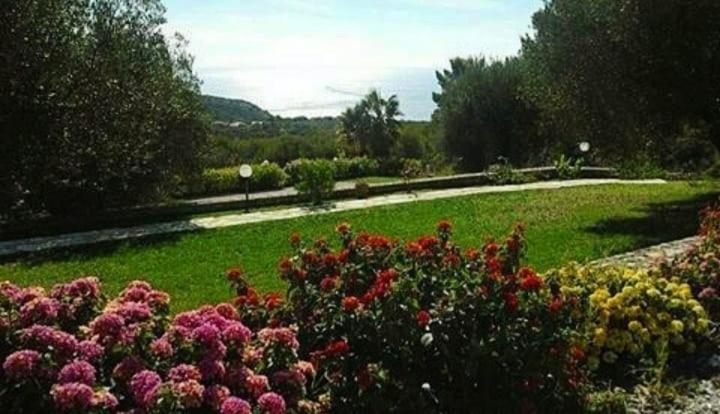 Ogród w obiekcie Resort Paradise Marina di Camerota