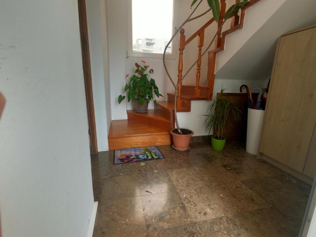 Fotografia z galérie ubytovania Rooms Jelena v Primošten