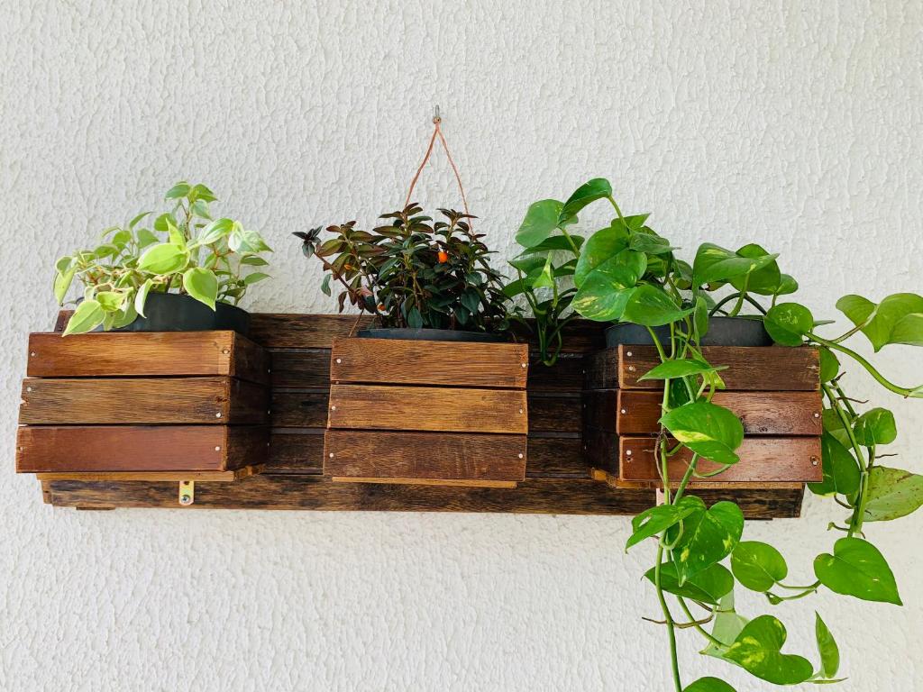  Excelente apt ITAGUA