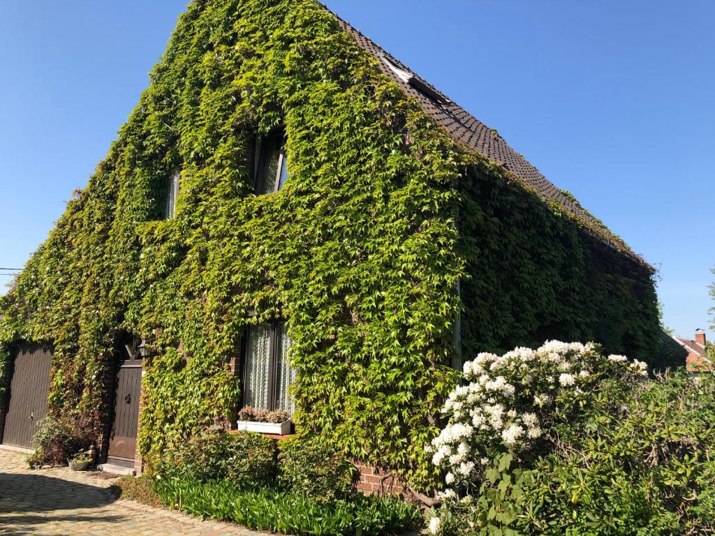 Zahrada ubytování B&B Carisma