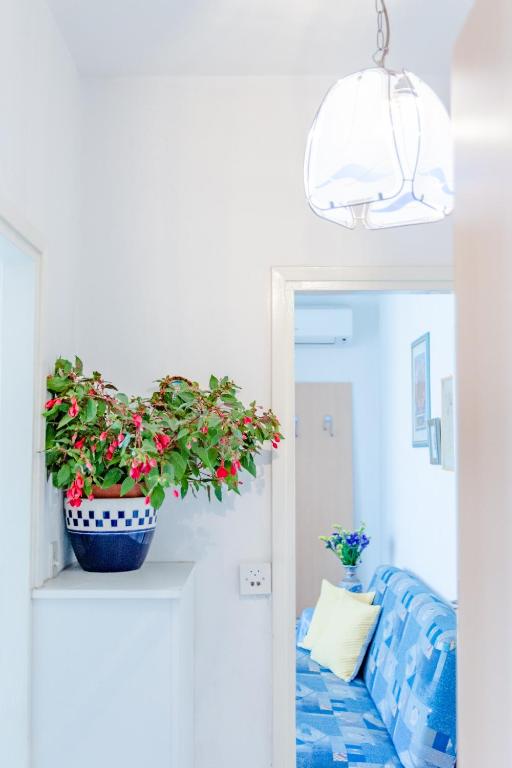 Fotografie z fotogalerie ubytování Studio Apartment Ecija ve Splitu