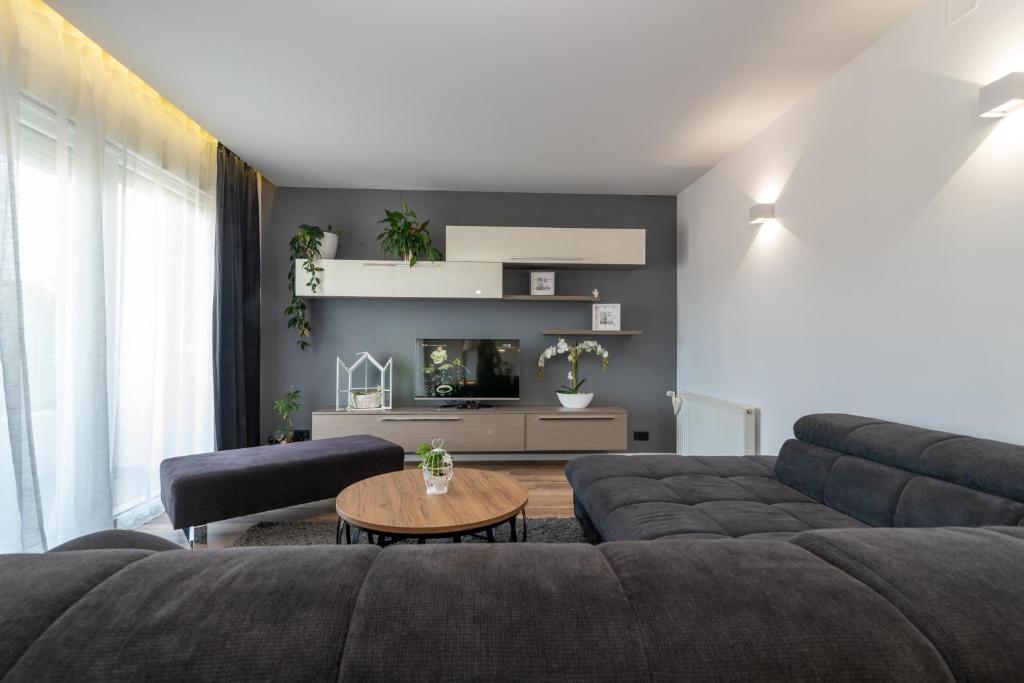 Televízia a/alebo spoločenská miestnosť v ubytovaní Apartman Tragos