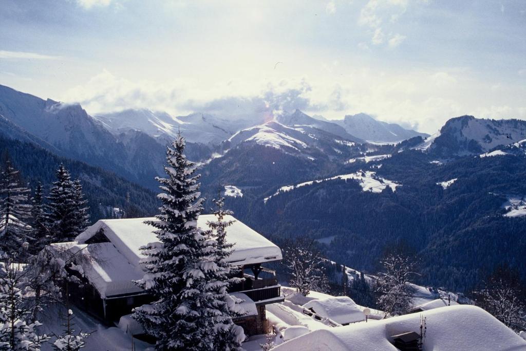 une chaîne de montagnes enneigée avec une maison et un arbre dans l'établissement Les Chalets-Hôtel de la Croix-Fry, à Manigod
