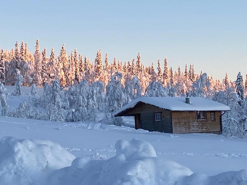 Fjällhalsen Cottages v zimě