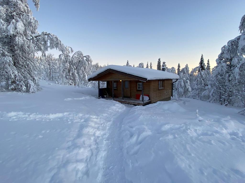 Fjällhalsen Cottages v zimě