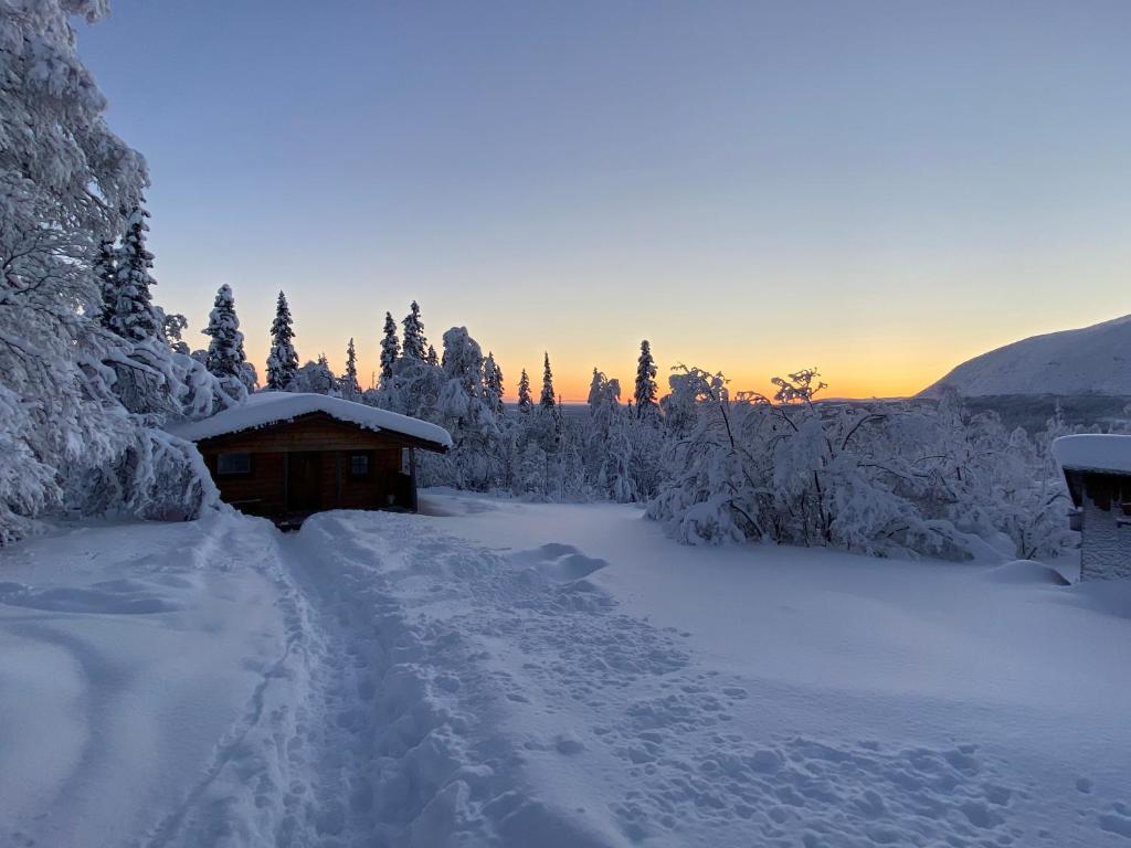 Fjällhalsen Cottages v zimě