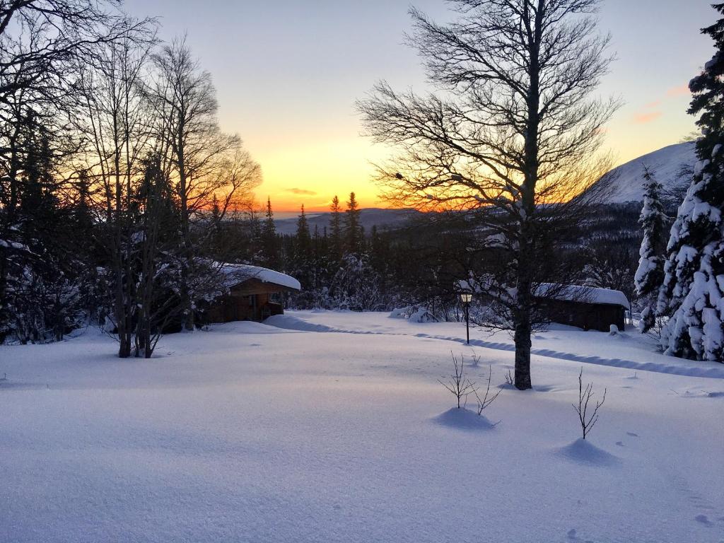 Fjällhalsen Cottages v zimě