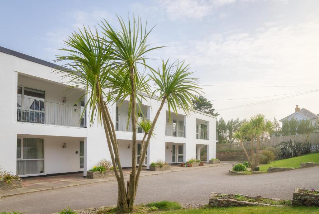 a palm tree in front of a white building at Westward 14 Polzeath in Polzeath